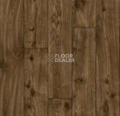Ковролин Forbo Flotex Vision Naturals 010056 Stained Pine фото 1 | FLOORDEALER